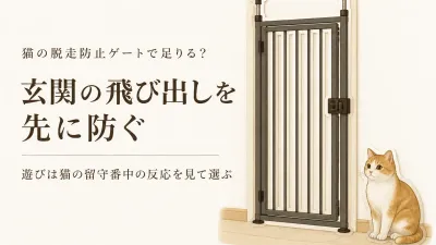 猫の脱走防止ゲートだけで足りる？玄関対策と留守番中の遊びを分けて考える