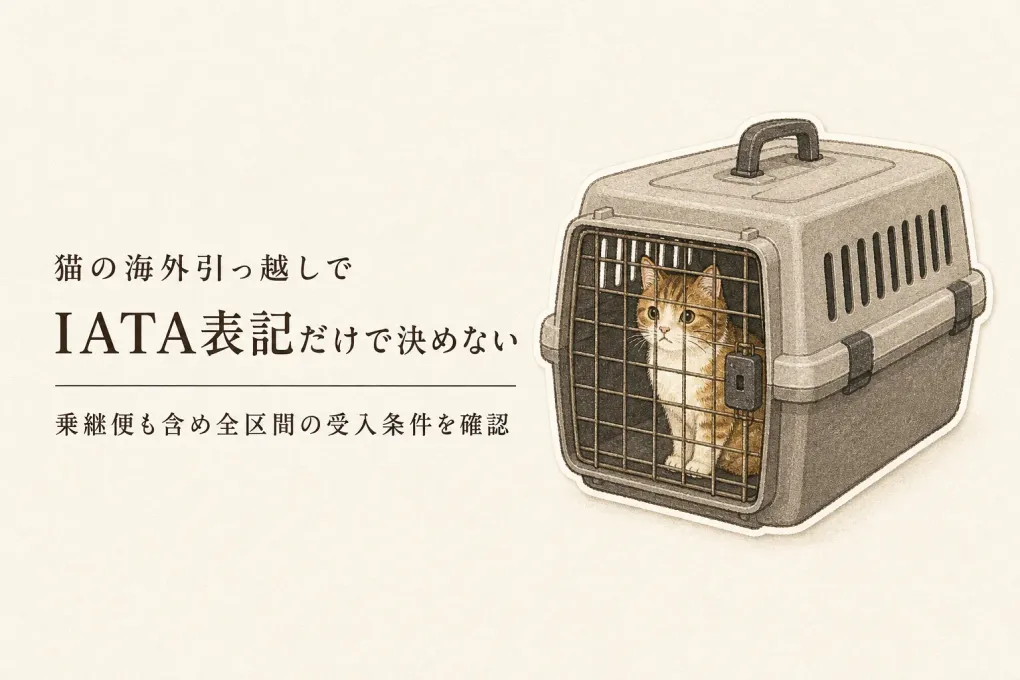 海外引っ越しの猫にIATAペットクレートを選ぶ｜乗継便まで確認するサイズの決め方