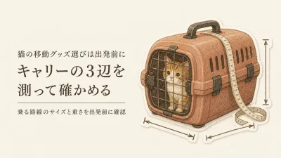 猫と電車に乗る日、キャリーのサイズと290円